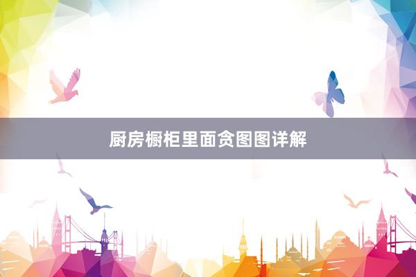 厨房橱柜里面贪图图详解
