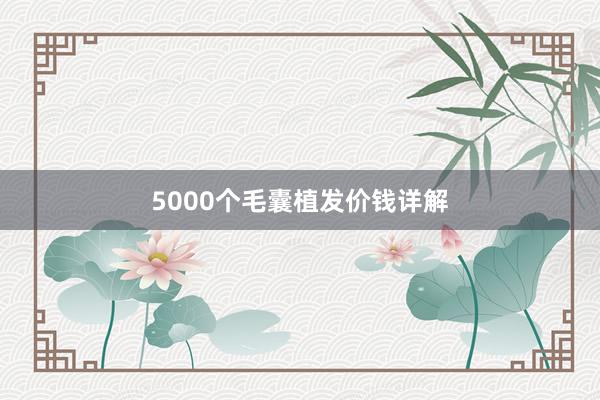 5000个毛囊植发价钱详解