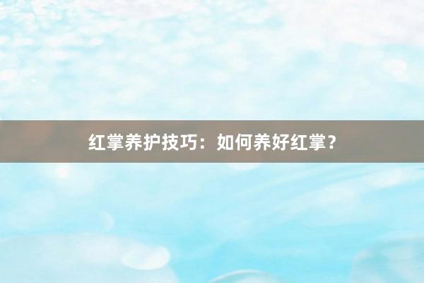 红掌养护技巧：如何养好红掌？