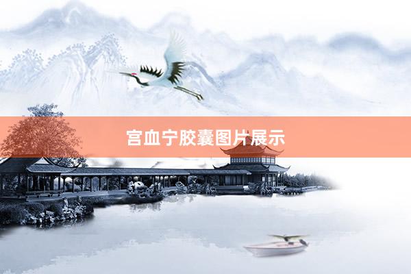 宫血宁胶囊图片展示