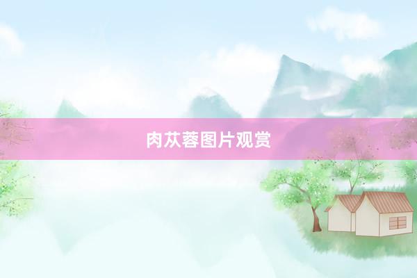 肉苁蓉图片观赏